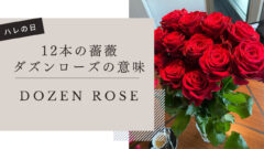 12本の薔薇 Dozen Rose・ダズンローズの意味 | にゃんれぽ