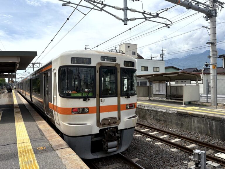 【旅】JR東日本 在来線チケットレス特急券と乗車券（紙）は別々に買おう！ - にゃんれぽ